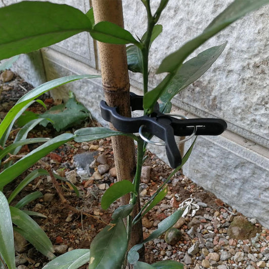 10 Pcs Plant Clips 2.75 X 2 Inches - MGCLIP